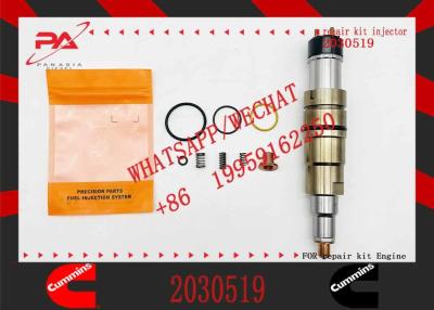 China Fuel Injectors 2030519 Diesel Common Rail Injector For Scania PGRT 2003-2008 FKN Truck for sale