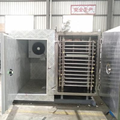 China Chicken Breast Seafood Freeze Dryer Fruit Drying Machine Vegetable 100kg Freeze Dryer for sale