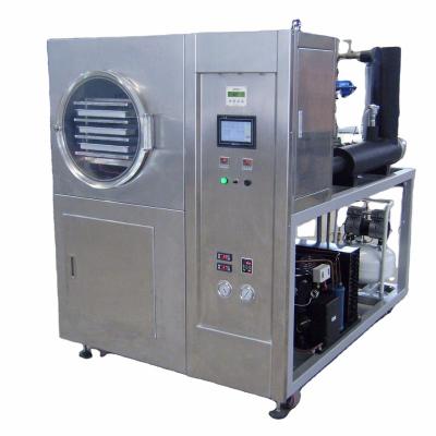 China 1m2 Small Freeze Dryer Lyophilizer for Food à venda