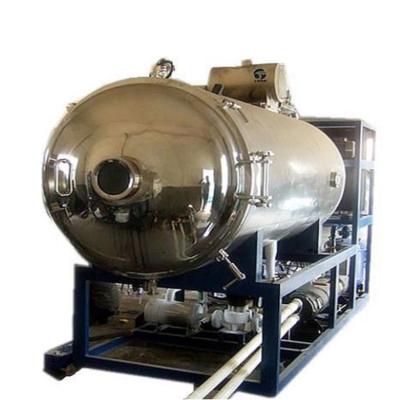 China Long Service Competitive price Vacuum Freeze Drying Machine for Food en venta