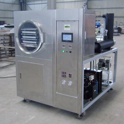 China Small Vacuum Freeze Drying Machine Lyophilizer Vegetable fruit Meat Pet Food Home Freeze Dryer for sale