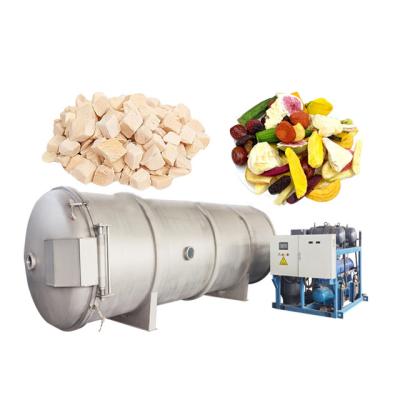 China Food lyophilizor fruit vegetable herbal freezer dryer lyophilizor machine à venda