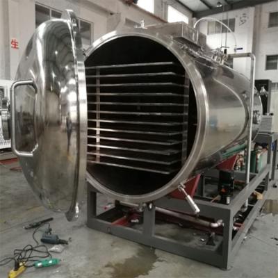 China Medical Equipment Industrial Freeze Drying Herbal Dryer zu verkaufen