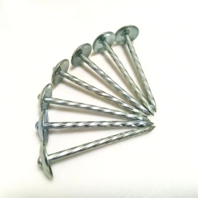 China Umbrella Iron Twisted Smooth Leg Umbrella Covering Galvanized Rubber Gasket Nails for sale