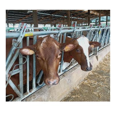 China Farms Dairy Yards Anti Slip Rubber Dairy Cow Horse Floor Mat 1.2*1.8m for sale