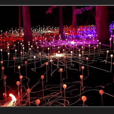 China Lighting Decoration New Product Fairy Tale World Style Side Glow Fiber Optic Outdoor Decorative Light for sale