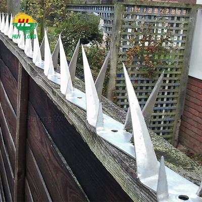 China Razor Wall Composite Wall Galvanized Security Spikes Burglar Proof Fence Spikes For Perimeter for sale