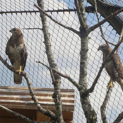 China Op maat gemaakte vogelhok 316 roestvrij staal draad touw gaas Geweven dierentuin gaas Grootte 50*50mm Te koop