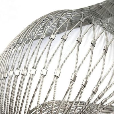 China Stainless Steel Wire Rope Mesh 100*100mm Green Plant Climbing Trellis Wall Mesh for Garden for sale