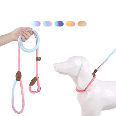 China Personalized 2024 New Premium Gradient Color Dog Collars And Leash Rope Lead Strong Durable Slip Lead Dog Leash for sale