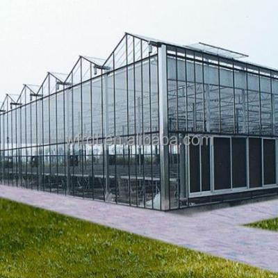 China Vegetable Fruits Flowers 8mm hollow twin wall 6x8ft walk-in polycarbonate sheet  aeroponic greenhouse for sale