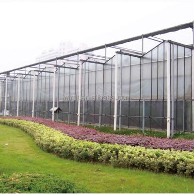 China Vegetable Fruits Flowers a wood corrugated polycarbonate sheets panels uv greenhouse for sale