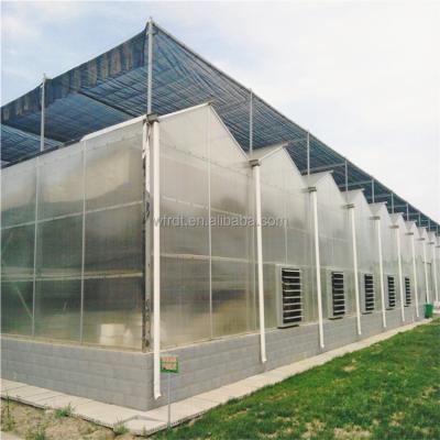 China Vegetable Fruits Flowers small agricultural polycarbonate greenhouse skylight prices for sale