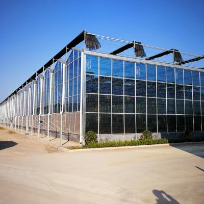 China Vegetable Fruits Flowers large luxury hothouse glass sunroom greenhouse skylight roof price for sale