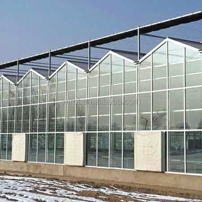 China Vegetable Fruits Flowers china wholesale glass multi-span sale golden supplier large ornate greenhouse for sale