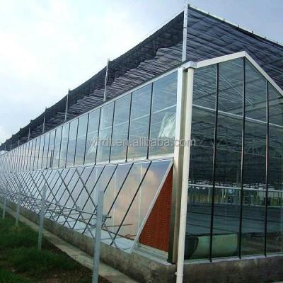 China Vegetable Fruits Flowers 8 x 10 small mini wood garden steel structure glass greenhouse for seedlings for sale