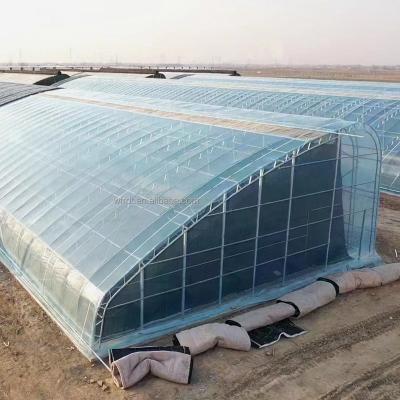 China Vegetable Fruits Flowers agriculture productive low cost single span in-solar greenhouse for sale