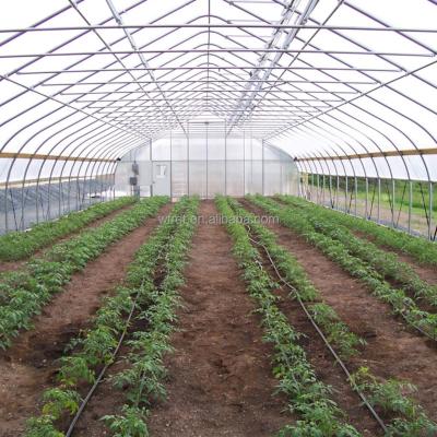 China Vegetable Fruits Flowers agricultural industrial commercial industrial single-span greenhouse for sale