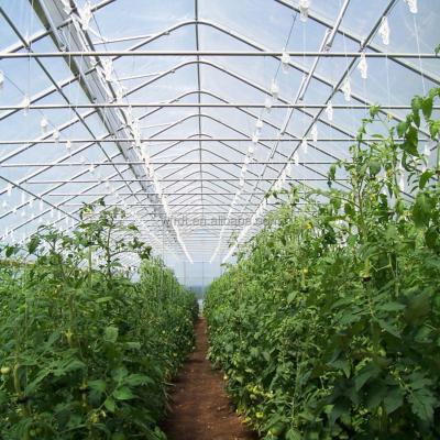 China Vegetable Fruits Flowers single span high agriculture vegetable greenhouses with shade net for sale