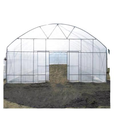 China Vegetable Fruits Flowers serres agricoles agricultural tunnel single-span greenhouses film hoops green house for sale