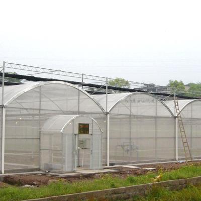 China Vegetable Fruits Flowers agricultural prefab plastic film tunnel greenhouses kit for sale