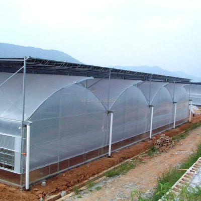 China Vegetable Fruits Flowers commercial greenhouses supplies cost for vegetable garden for sale