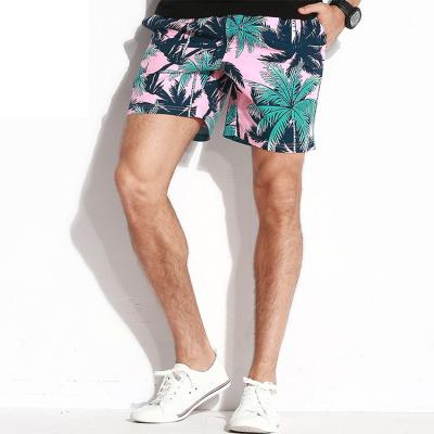 China Summer Beach Men Sport Shorts With 4 Way Stretch Woven Fabric for sale