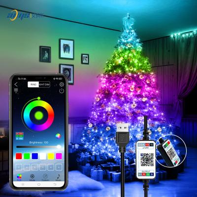 China USB Dreamcolor Dreamcolor Dreamcolor USB Remote Control LED Christmas Decoration Lamp Holiday Light Indoor Outdoor Indoor Remote Control Plu IP65waterproof RGB Water Resistance Good for sale