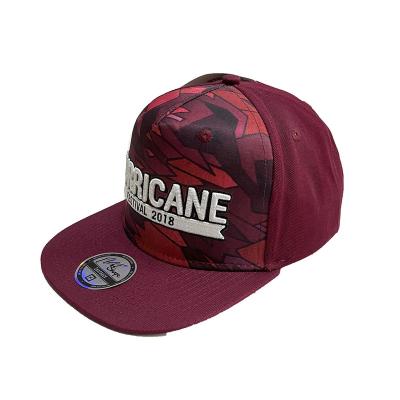 China COMMON Custom Snapback Unisex sport hats 3D Embroidered hat and Private printed for sale