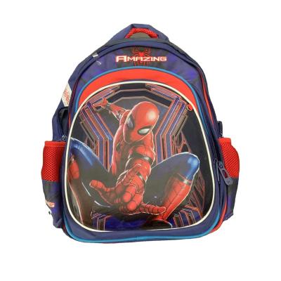 China 2020 Popular Outdoor Waterproof OEM School Backpack For Students Eva Laptop Backpacks for sale