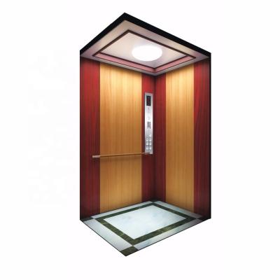 China Modern Home Elevator 200kg 2022 Type Two Person Villa Lift Mini Small Modern New Design for sale