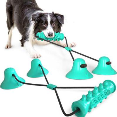 China Double Suction Viable Chewing Cups Interactive Fixed Dog Teeth Cleaning Chewing Toy For Dogs Toy Puzzle Food Dispensing Features for sale