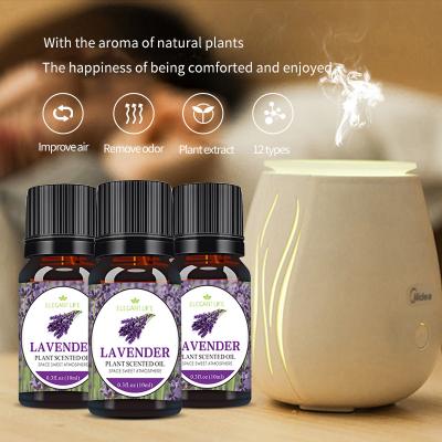 Cina Household 10ml bottle of lavender essential oil suitable for humidifier aromatherapy machine pure essential oil in vendita