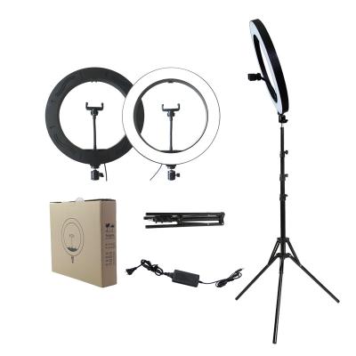 China 14inch LED Ring Light Phone Video Light tripod Ring Cold Warm Fill Light for Youtube 1 live for sale