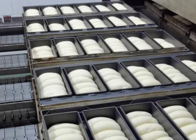 Chine Levain continu Proofer à vendre