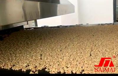 China CE linha de produção do Granola de 1000 flocos de milho do cereal do Kg/H à venda