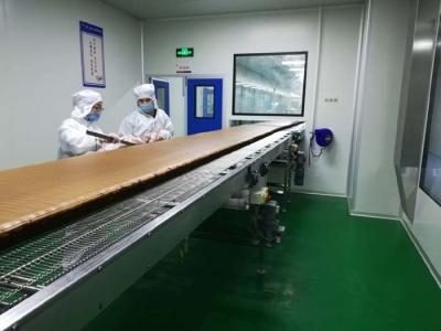 China CER 90 Grad Mesh Belt Food Industry Conveyors drehend zu verkaufen