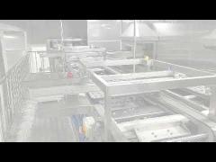 Breakfast Bread Tunnel Oven Conveyor Automatic Proofer Depanner Bakery Machine