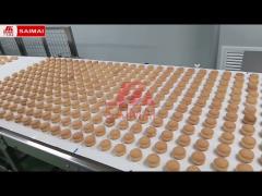 Cup Cake Production Line,Bakery Production Line, Hamburger Bread, Toast, Cup Cake, Moon Cake,Danish