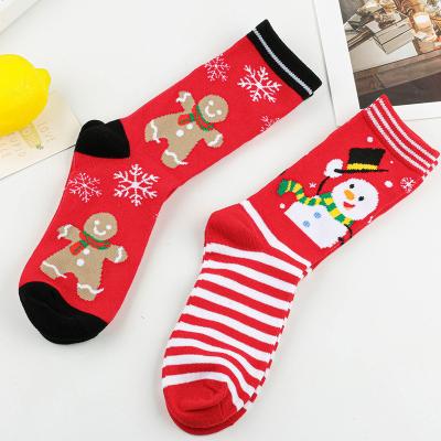 China Gift Box QUICK DRY Custom Made Winter All Day Christmas Women Holiday Unisex Socks for sale