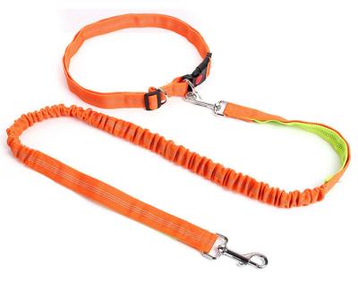 China Durable Hands Free Dog Leash For Medium And Large Dogs Professional Harness With Reflective Points For Jogging Walking Training for sale