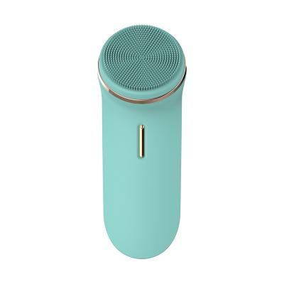 China New Introduction Beauty Facial Electric Massager Ultrasonic Facial Tamping Instrument for sale