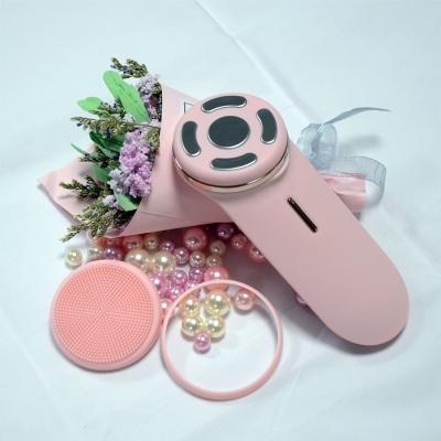 China Face Cleansing 2021 EMS Ion Silicone Skin Care Cleansing Professional Facial Massage Beauty Instrument for sale