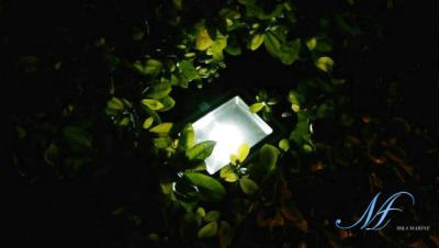 China weißes LED Rasenlicht 50W, LED-Gartenlampe, LED-Flutlicht, Anschlagtafellicht, Projektlicht zu verkaufen