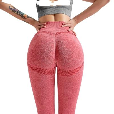 China Sports Seamless Womens Gaiters Yoga Gym Breathable Pants High Waisted Tights Push Up Pants Fitness Elastic Running Cuffs Activewear for sale