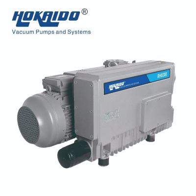 Cina Hokaido Single-Stage Rotary Vane Vacuum Pump for Food Packaging Pumping Speed 200m3/H in vendita