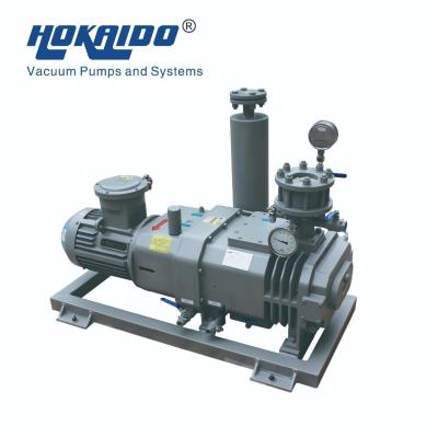 Cina 150m3/H Pumping Speed RSP150 Semiconductor Non-Oil Dry Screw Vacuum Pump For Industrial in vendita