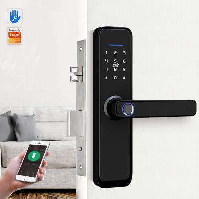 China Home Security High Security WIFI Electronic Digital Double Sided Smart APP Biological Door Tuya Fingerprint Locks for sale