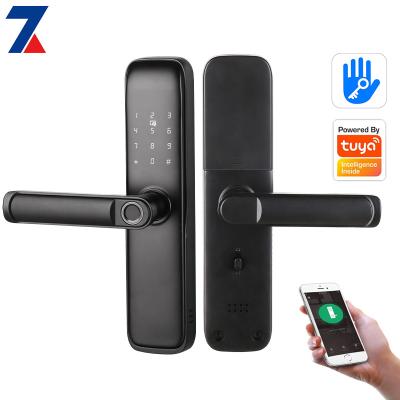 China Security cerradura home smart home fingerprint smart password TT lock tuya door locks for sale