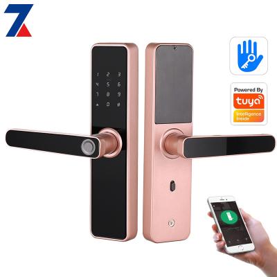 China Double sided cerradura home inteligente high security fingerprint TTlock smart door tuya locks for sale